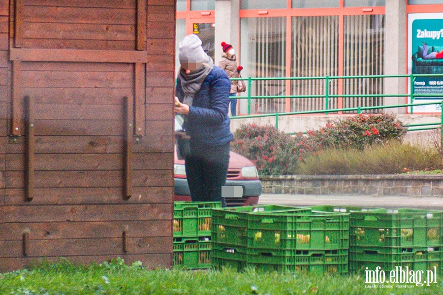 Jak elblążanie stosują się do noszenia maseczek ?, fot. 58