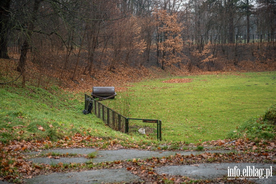 Wiceprezydent Nowak: Samorzd stara si wspiera akcje proekologiczne, fot. 4