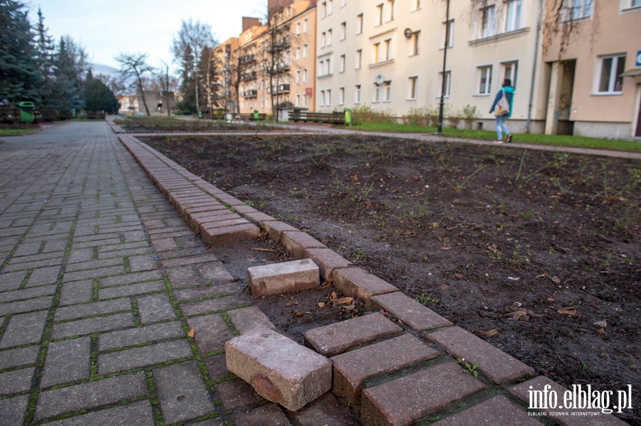 Stare awki na Skwerze Romualda Rebinina, fot. 16