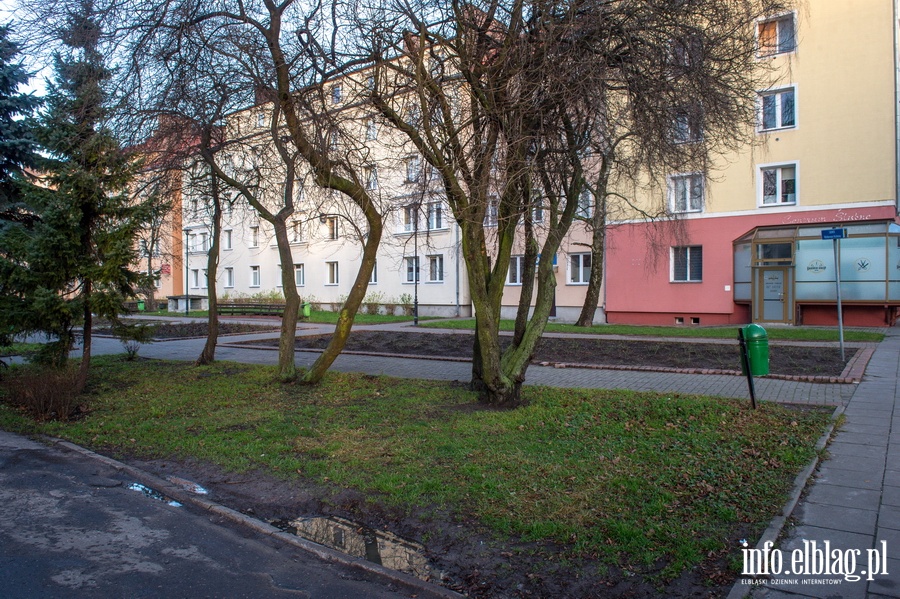 Stare awki na Skwerze Romualda Rebinina, fot. 18