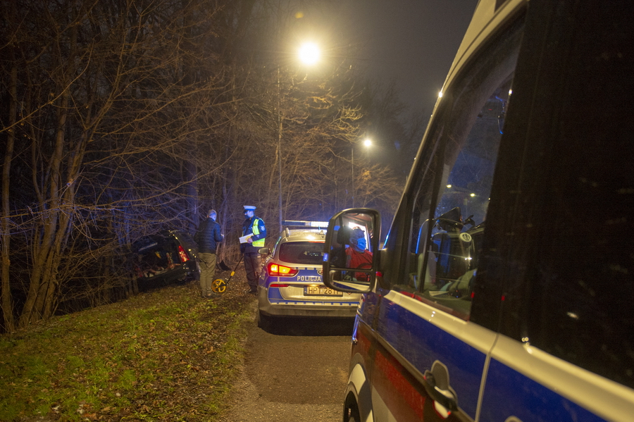 "Pojazd odmwi wykonania skrtu i... wjecha prosto w drzewo", fot. 12