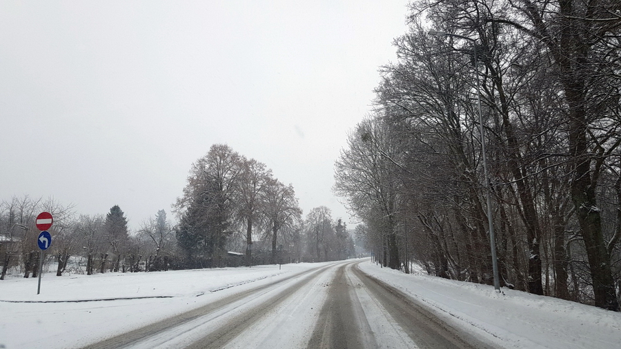 Elbląskie ulice i chodniki w sobotnie przedpołudnie, fot. 2