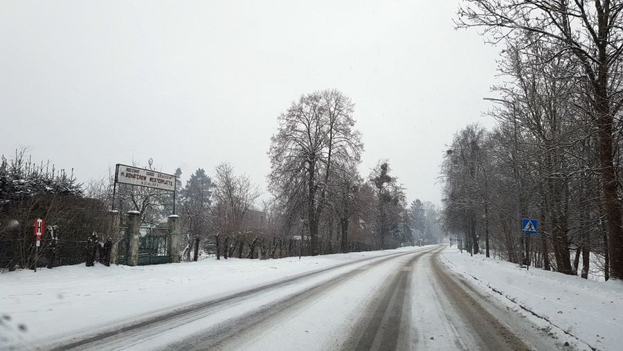 Elblskie ulice i chodniki w sobotnie przedpoudnie, fot. 3