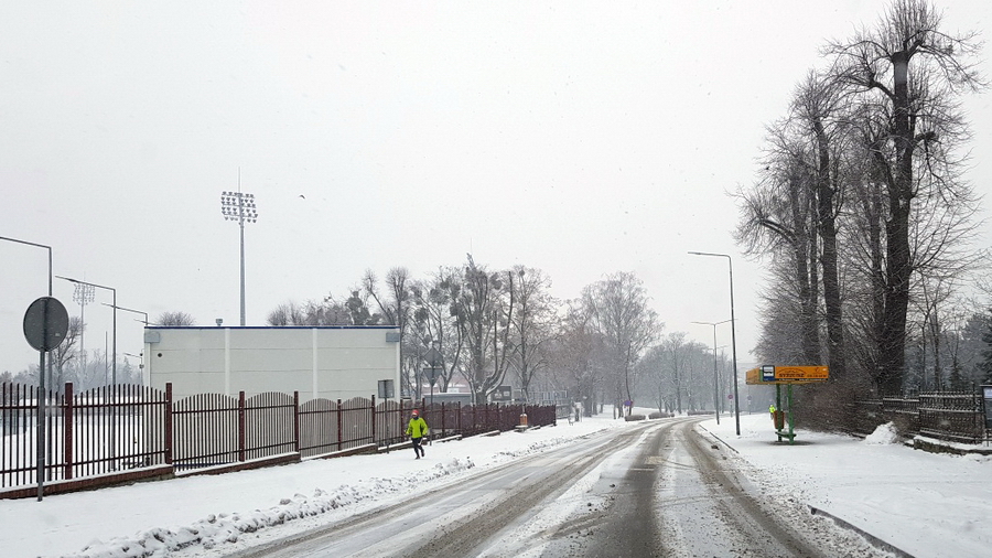 Elbląskie ulice i chodniki w sobotnie przedpołudnie, fot. 4