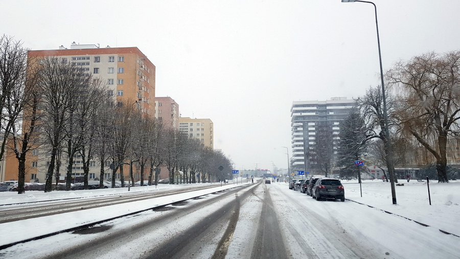 Elblskie ulice i chodniki w sobotnie przedpoudnie, fot. 8