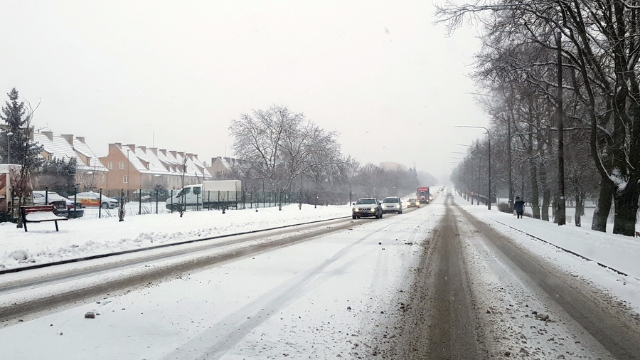 Elblskie ulice i chodniki w sobotnie przedpoudnie, fot. 28