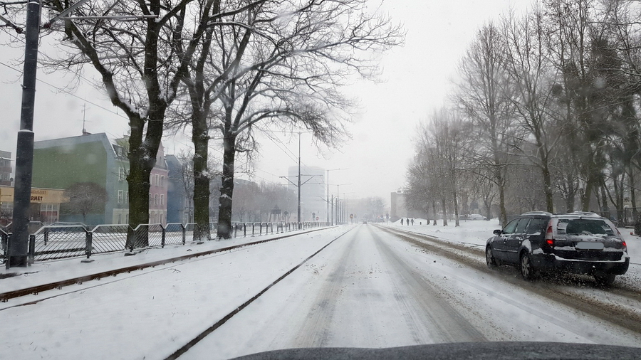Elbląskie ulice i chodniki w sobotnie przedpołudnie, fot. 29