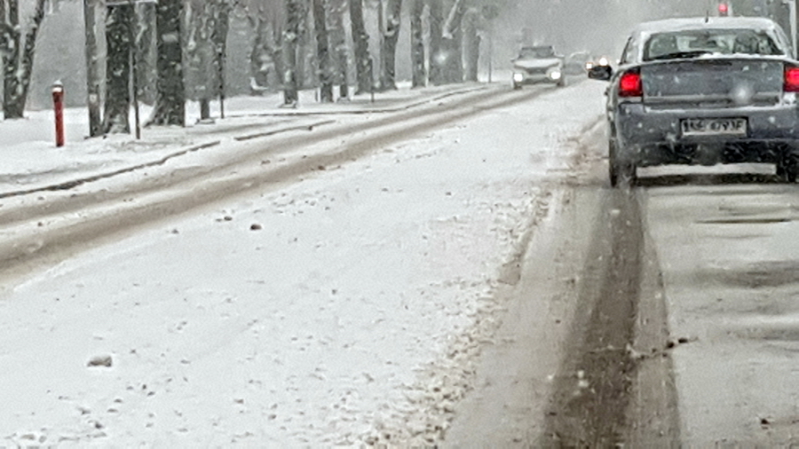 Elblskie ulice i chodniki w sobotnie przedpoudnie, fot. 43