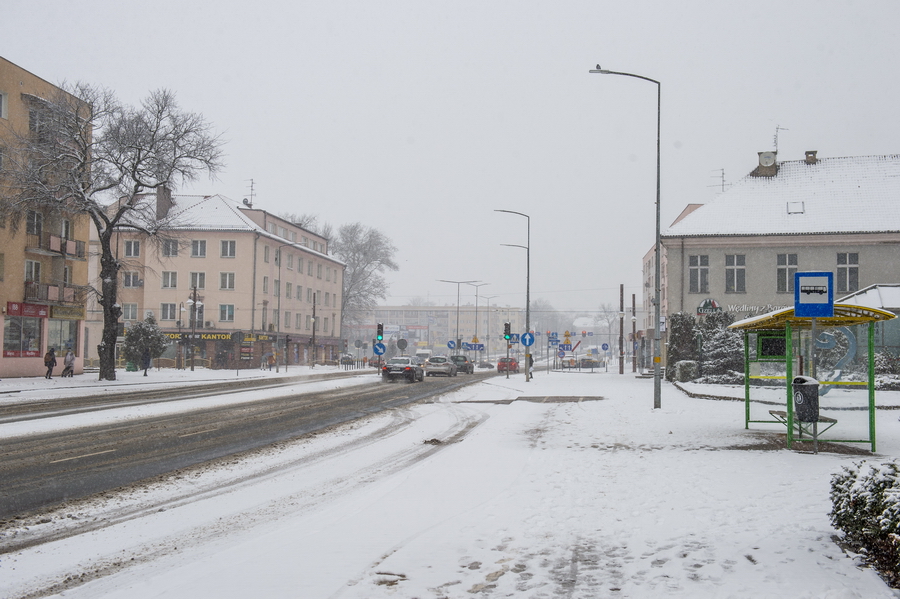 Elblskie ulice i chodniki w sobotnie przedpoudnie, fot. 61