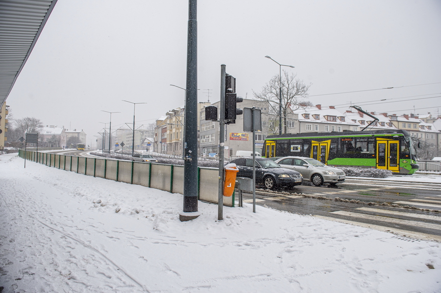 Elblskie ulice i chodniki w sobotnie przedpoudnie, fot. 75