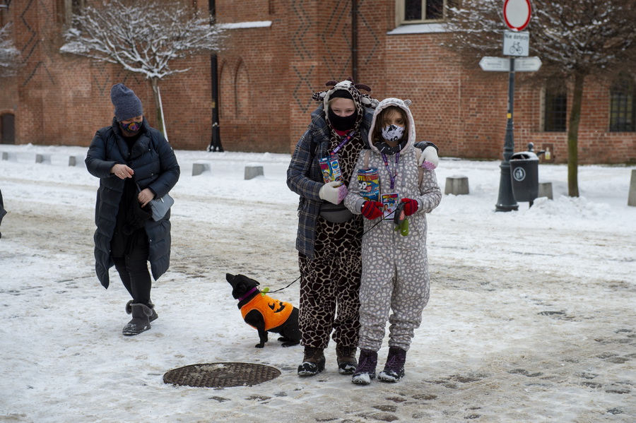 328 wolontariuszy chodzi dziś po Elblągu z WOŚP-owymi puszkami, fot. 72