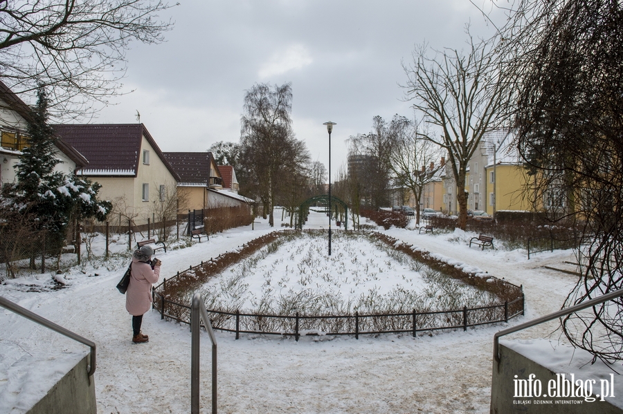 Park Kajki i Rany Ogrd zimow por, fot. 1