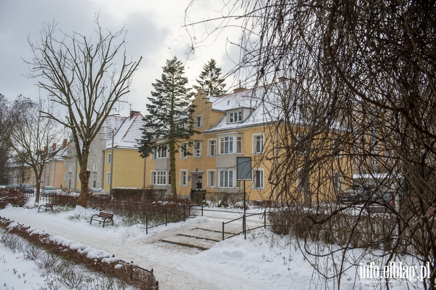 Park Kajki i Różany Ogród zimową porą, fot. 2