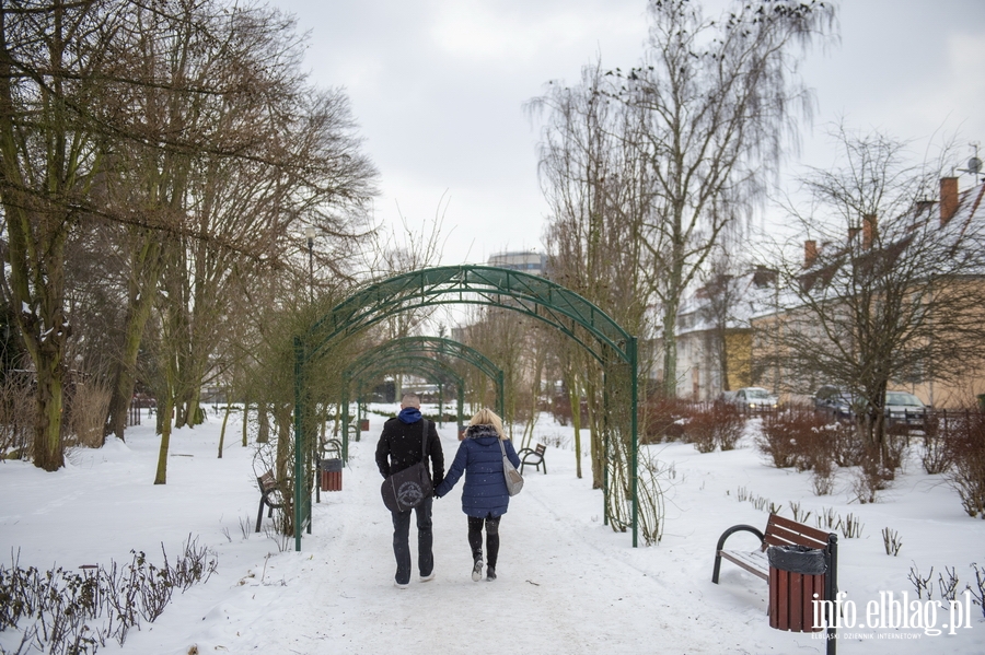 Park Kajki i Różany Ogród zimową porą, fot. 6