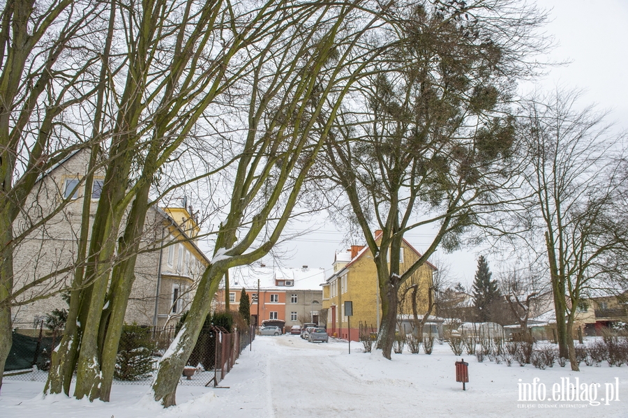 Park Kajki i Rany Ogrd zimow por, fot. 11