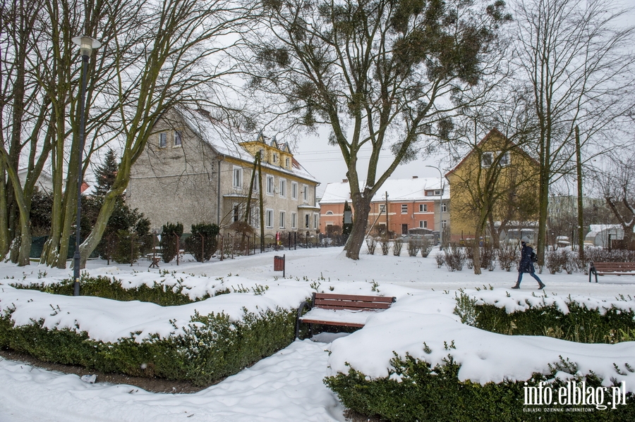 Park Kajki i Rany Ogrd zimow por, fot. 13