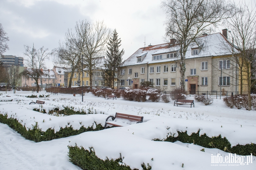 Park Kajki i Różany Ogród zimową porą, fot. 15