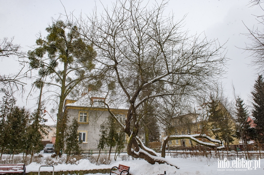 Park Kajki i Różany Ogród zimową porą, fot. 24