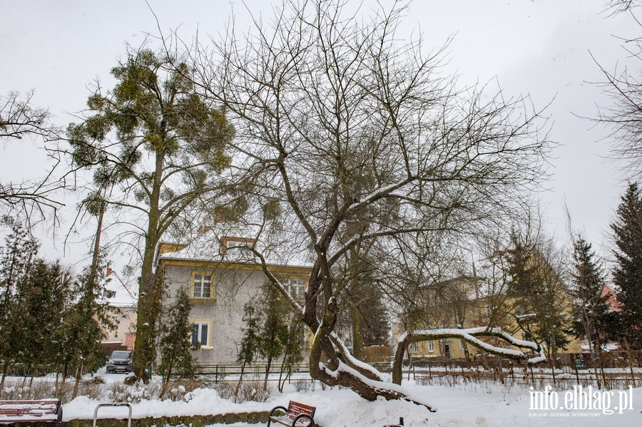 Park Kajki i Rany Ogrd zimow por, fot. 24