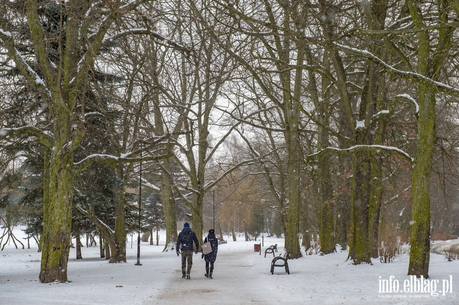 Park Kajki i Rany Ogrd zimow por, fot. 28