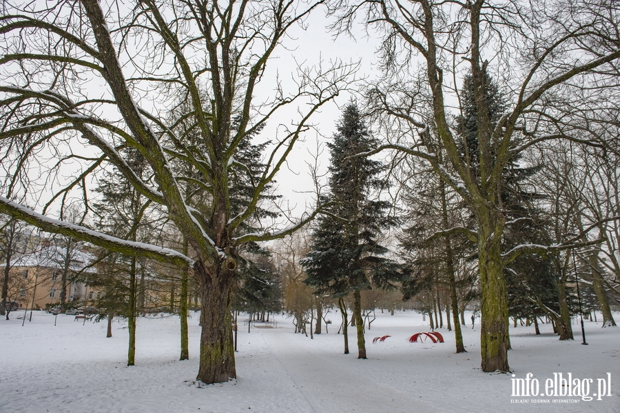 Park Kajki i Różany Ogród zimową porą, fot. 29