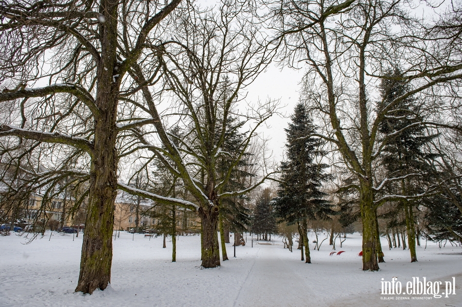 Park Kajki i Różany Ogród zimową porą, fot. 30
