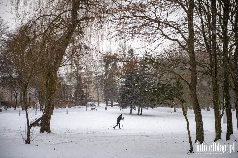 Park Kajki i Różany Ogród zimową porą, fot. 36