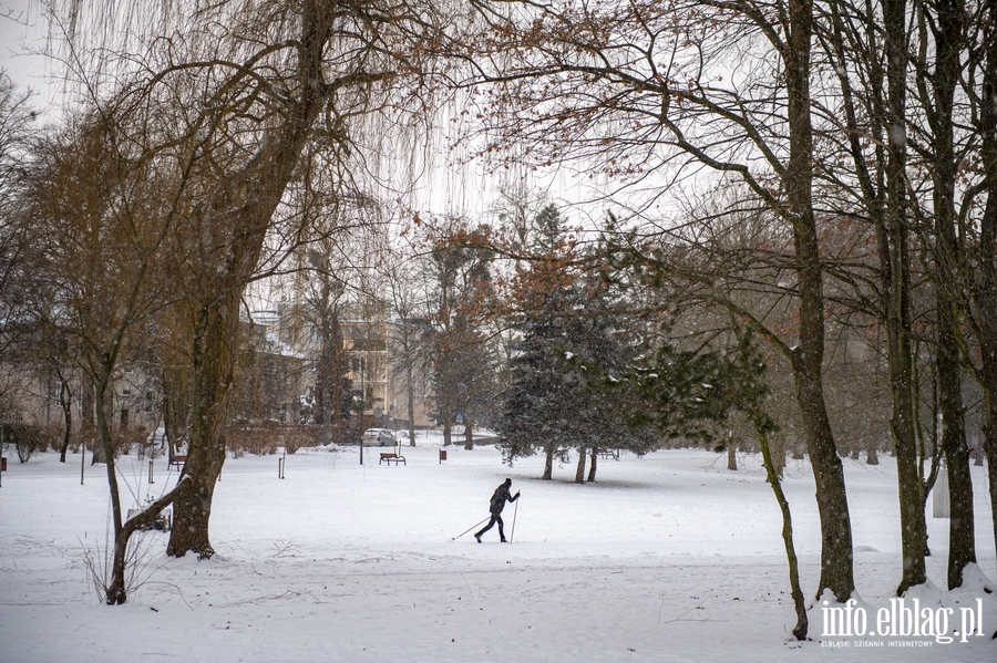 Park Kajki i Rany Ogrd zimow por, fot. 36