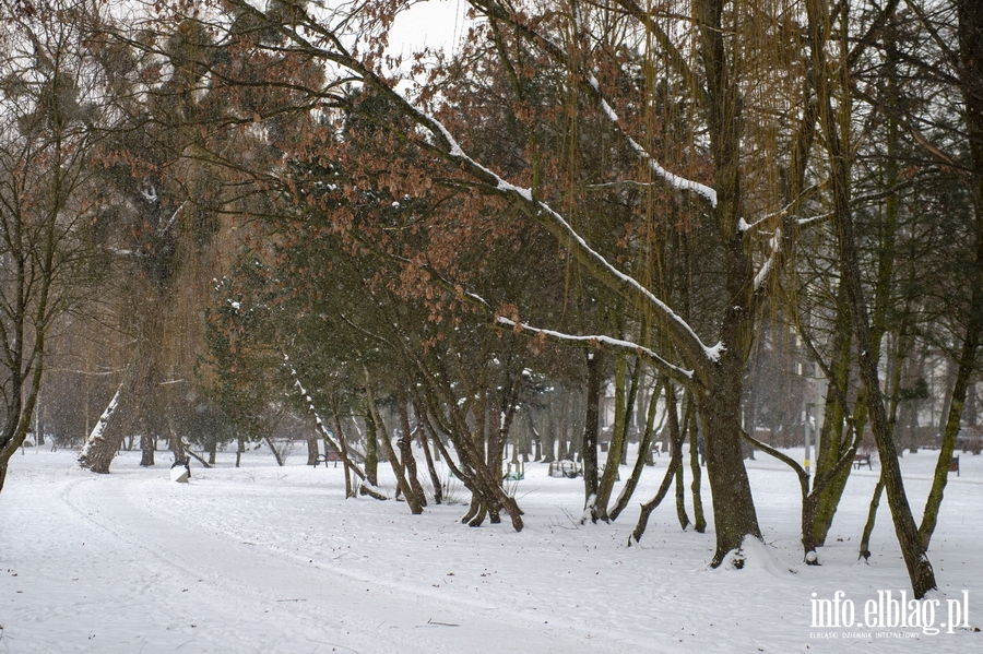 Park Kajki i Różany Ogród zimową porą, fot. 40