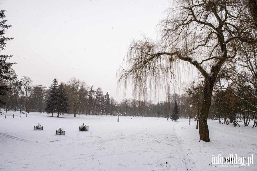 Park Kajki i Różany Ogród zimową porą, fot. 42