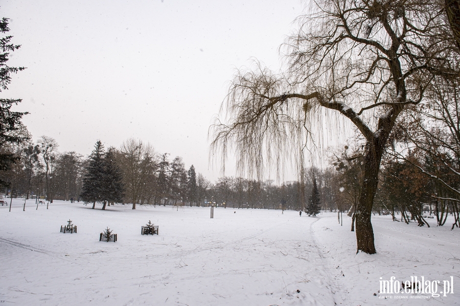 Park Kajki i Rany Ogrd zimow por, fot. 42