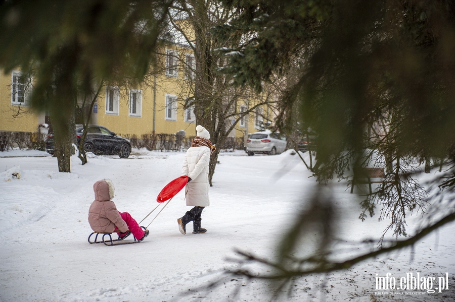 Park Kajki i Rany Ogrd zimow por, fot. 44