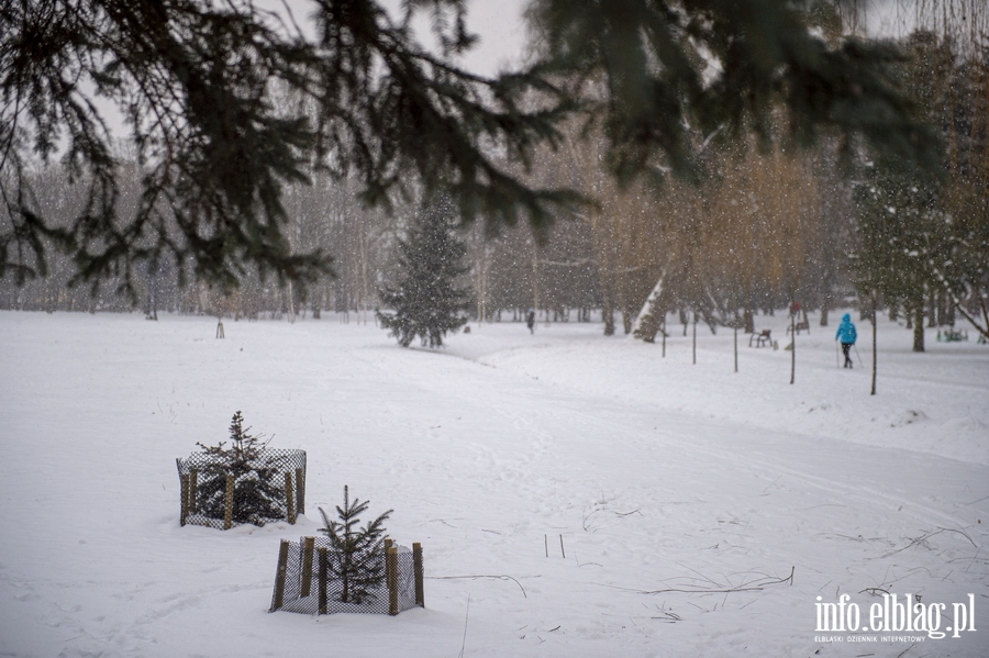 Park Kajki i Rany Ogrd zimow por, fot. 45