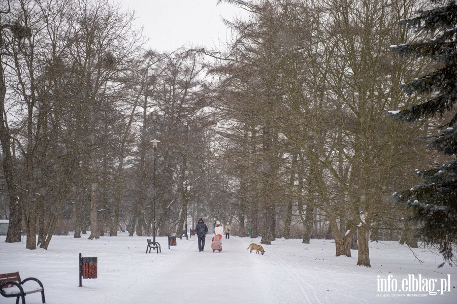 Park Kajki i Różany Ogród zimową porą, fot. 46