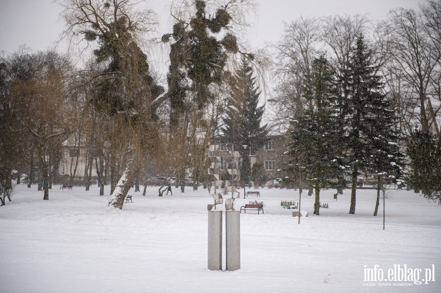 Park Kajki i Różany Ogród zimową porą, fot. 47