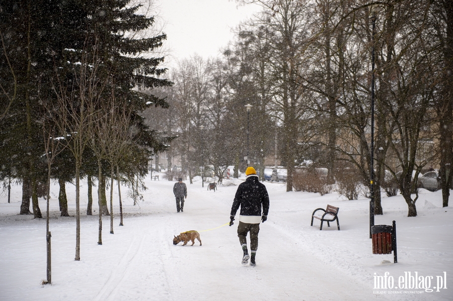 Park Kajki i Rany Ogrd zimow por, fot. 48