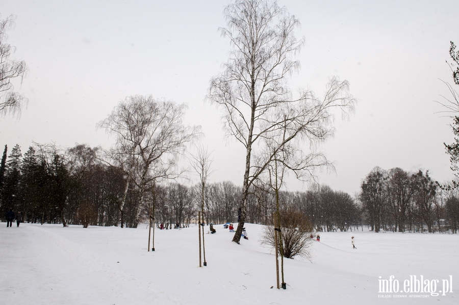 Park Kajki i Różany Ogród zimową porą, fot. 52