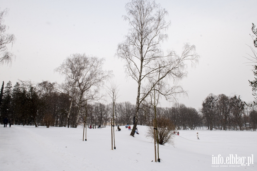 Park Kajki i Rany Ogrd zimow por, fot. 52