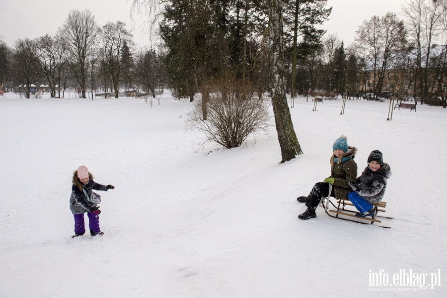 Park Kajki i Rany Ogrd zimow por, fot. 54