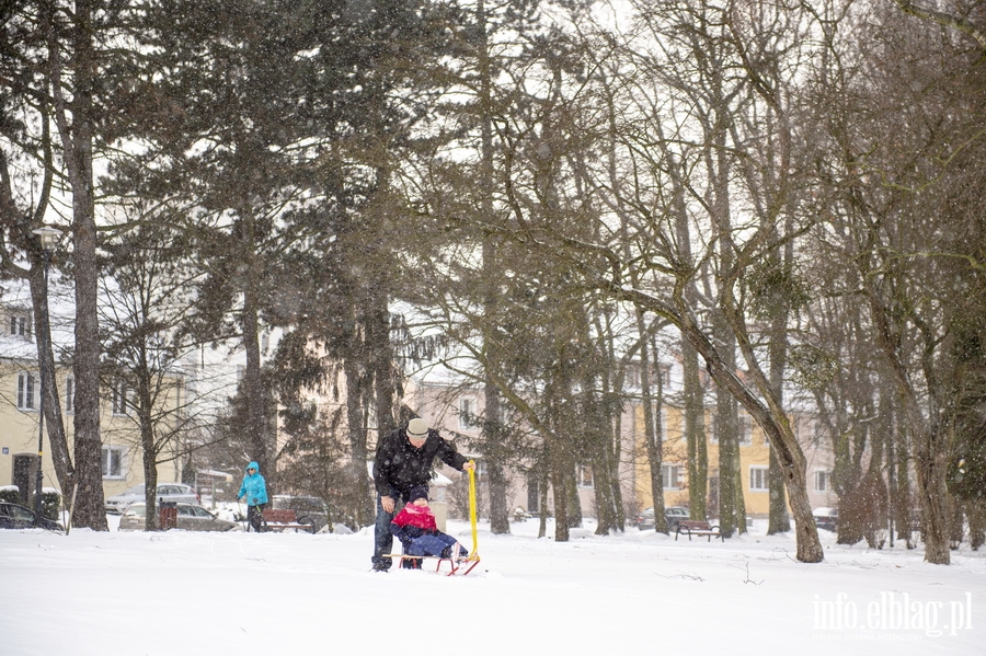 Park Kajki i Różany Ogród zimową porą, fot. 65