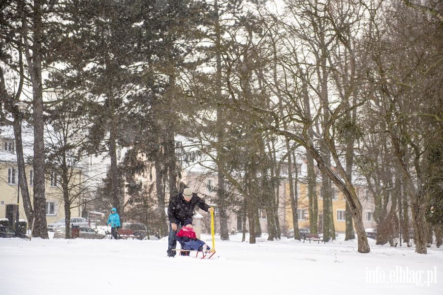 Park Kajki i Rany Ogrd zimow por, fot. 65