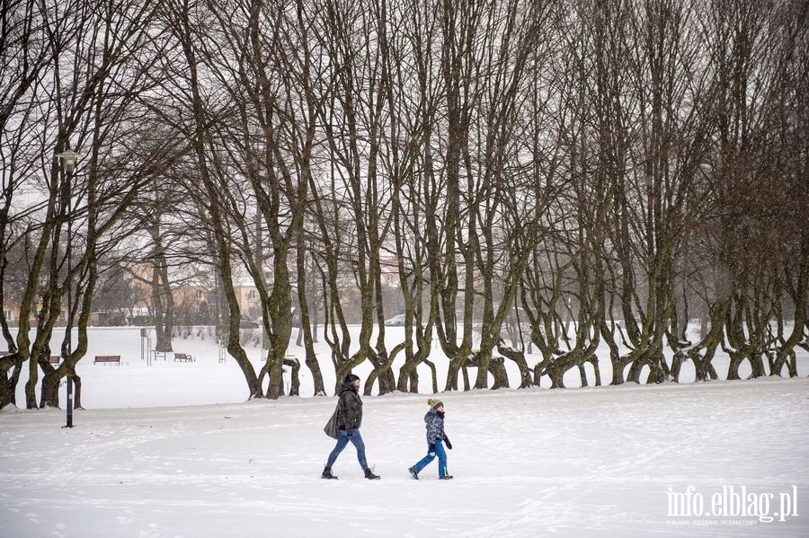 Park Kajki i Rany Ogrd zimow por, fot. 66