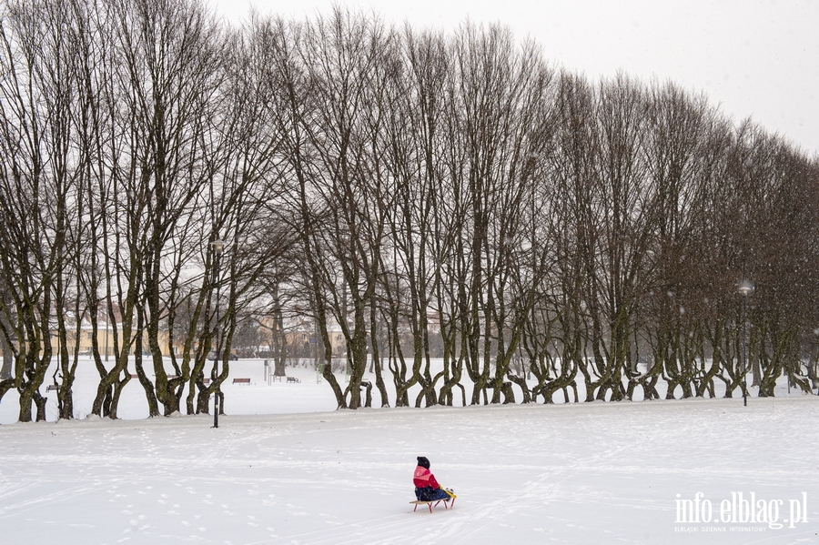 Park Kajki i Rany Ogrd zimow por, fot. 67