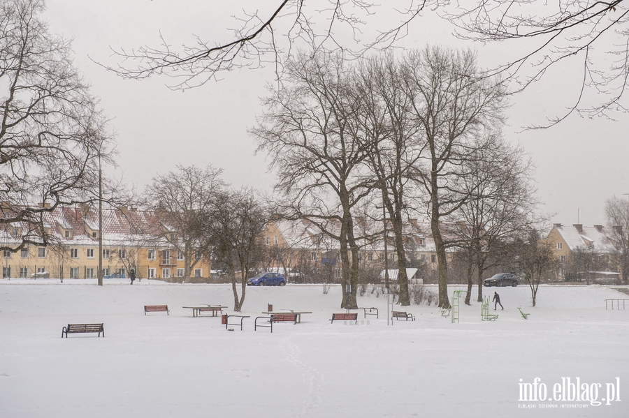 Park Kajki i Rany Ogrd zimow por, fot. 73