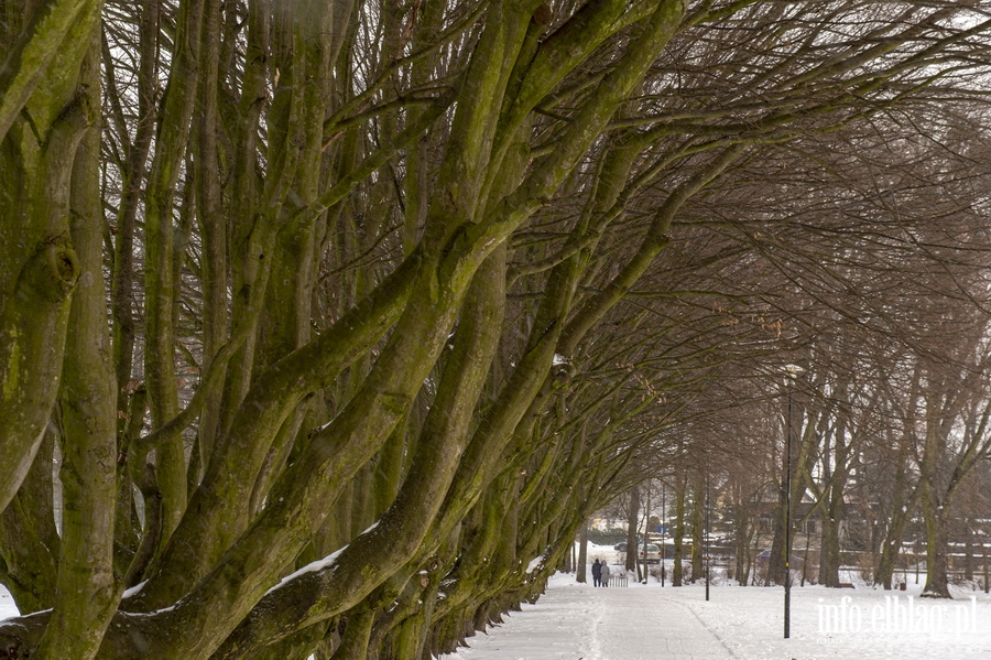 Park Kajki i Rany Ogrd zimow por, fot. 75