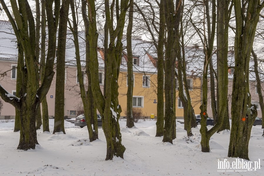 Park Kajki i Różany Ogród zimową porą, fot. 76