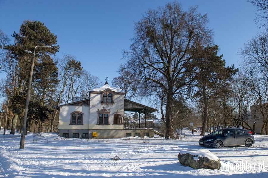 Park Modrzewie zimową porą..., fot. 1