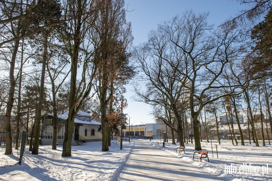 Park Modrzewie zimową porą..., fot. 6