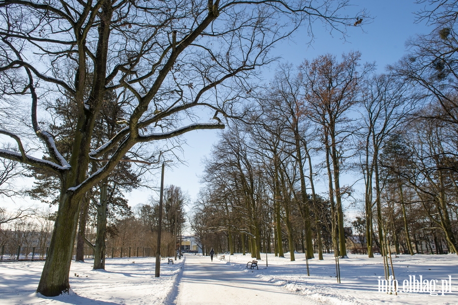 Park Modrzewie zimową porą..., fot. 8
