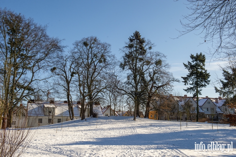 Park Modrzewie zimową porą..., fot. 12